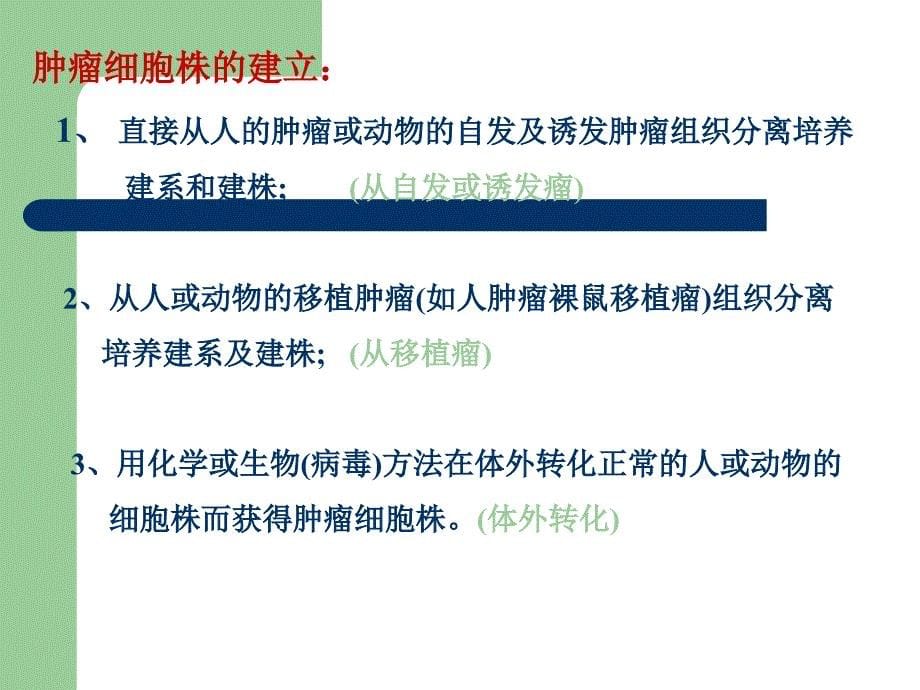 肿瘤研究方法ppt医学课件_第5页