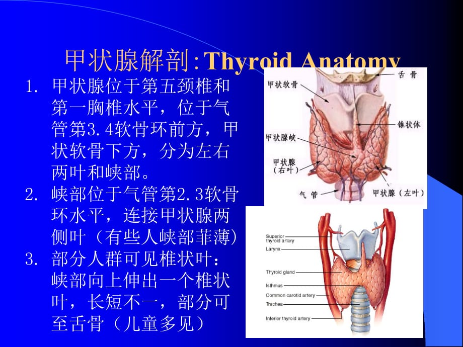 甲状腺超声诊断标准ppt医学课件_第2页