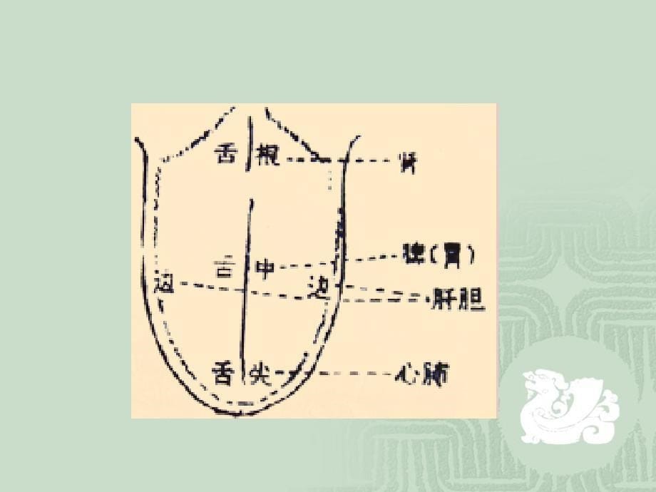 中医基础讲座 (一)_第5页