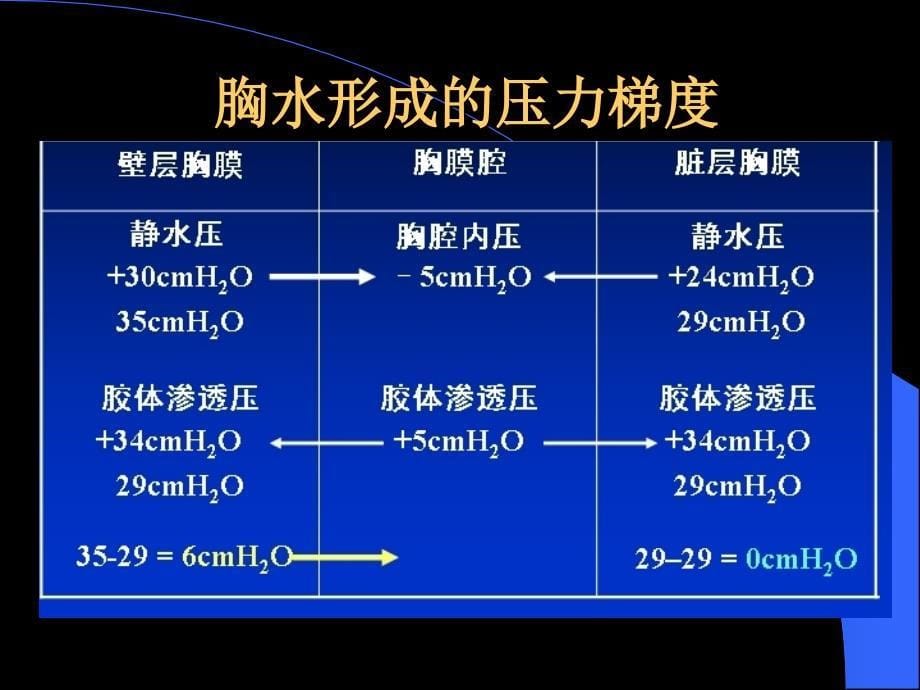 结核性胸膜炎幻灯片课件_第5页