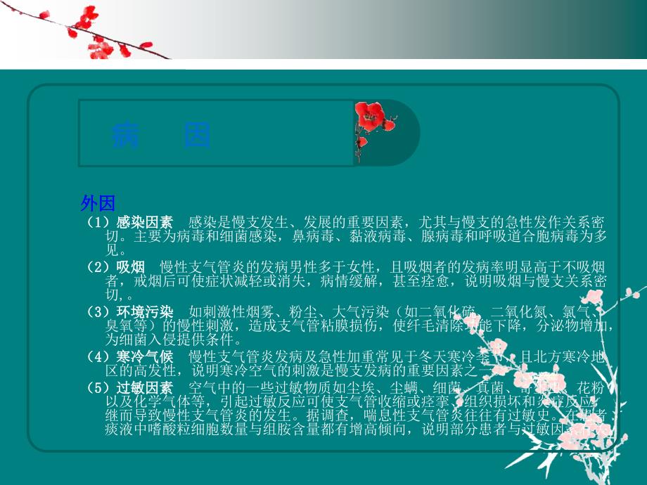 慢性支气管炎的护理查房ppt医学课件_第3页