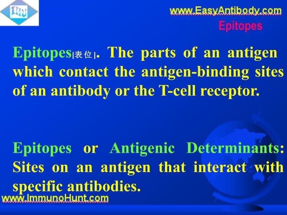 训练您对免疫学词汇的理解 医学课件_第5页