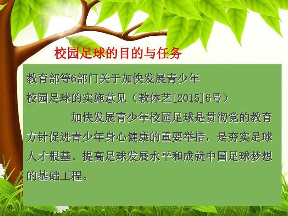 校园足球的目的及作用医学课件_第5页