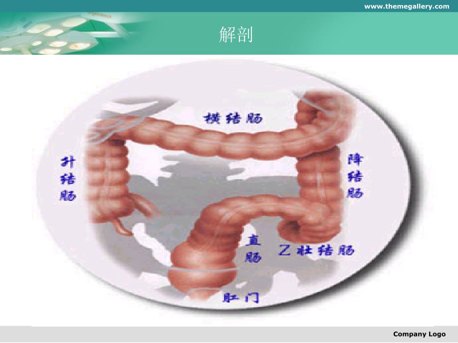 直肠癌根治手术医学课件_第5页