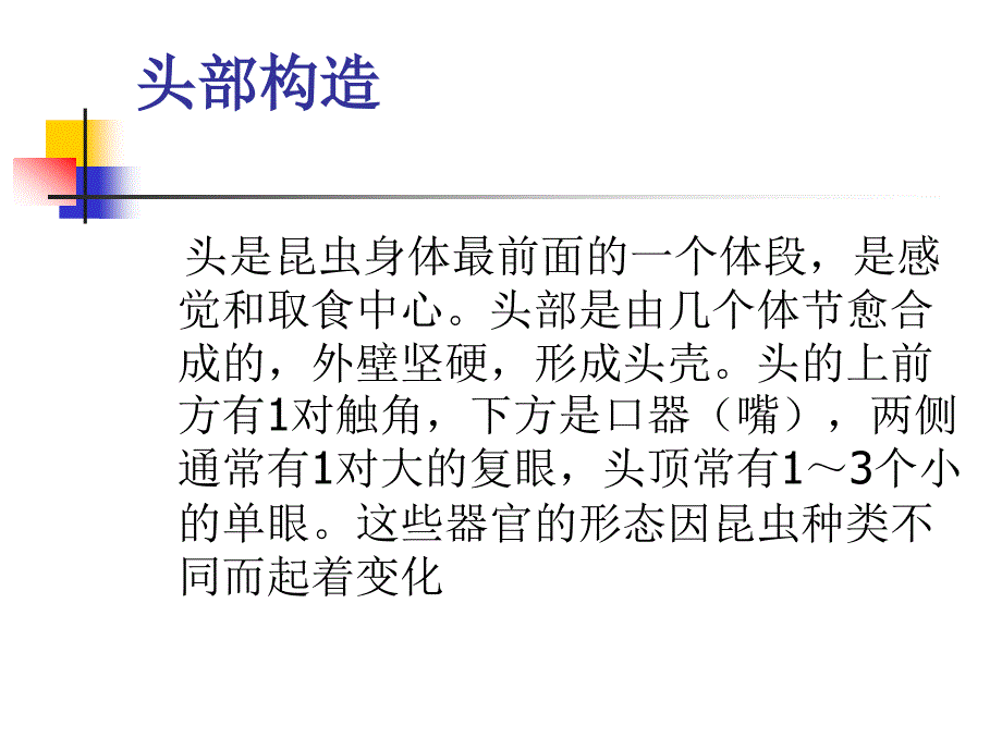 森林昆虫基本知识医学课件_第4页