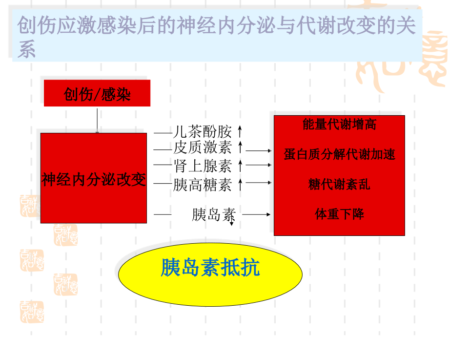 重症患者的肠内及肠外营养支持医学课件_第4页