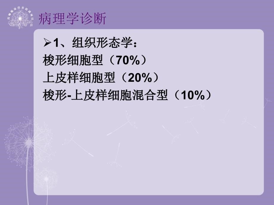 胃肠间质瘤医学课件_第5页