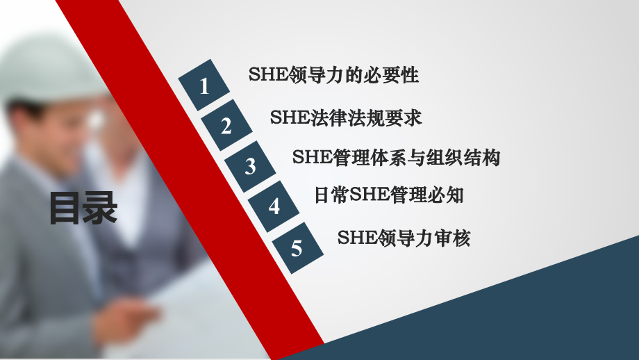 SHE意识与领导力（139页SHE领导力必要性法律法规管理体系与组织结构日常SHE管理须知领导力审核）_第3页