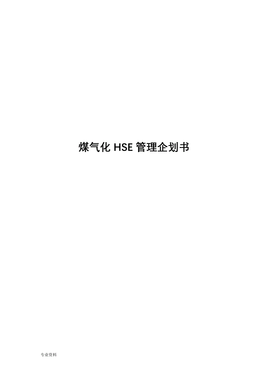 煤气化HSE管理实施计划书_第1页