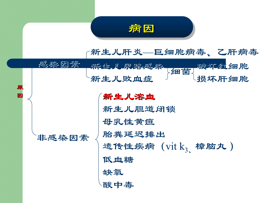 新生儿黄疸的表现及护理ppt医学课件_第4页