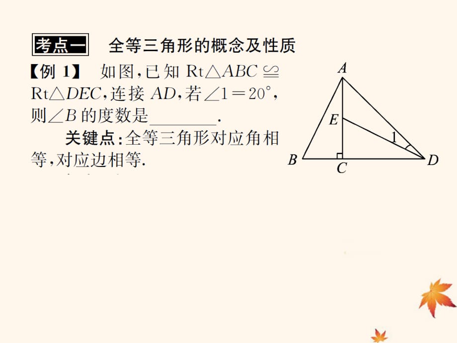 遵义专用中考数学复习第18课时三角形的全等3典型例题剖析课后作业.ppt_第2页