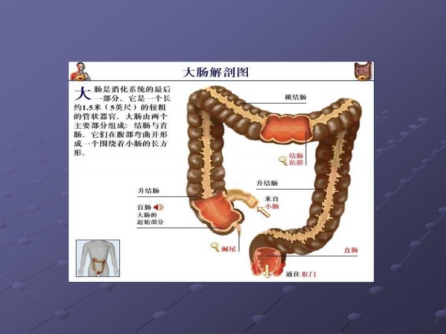 直肠癌病人的护理ppt医学课件_第2页