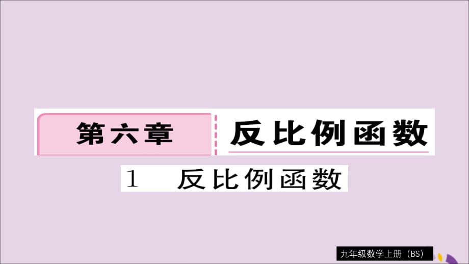 通用秋九级数学上册第六章反比例函数6.1反比例函数习题新北师大.ppt_第1页