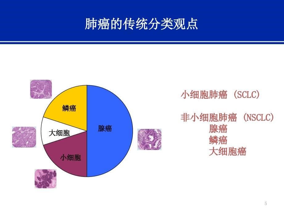 肿瘤个体化用药基因检测的临床应用医学课件_第5页