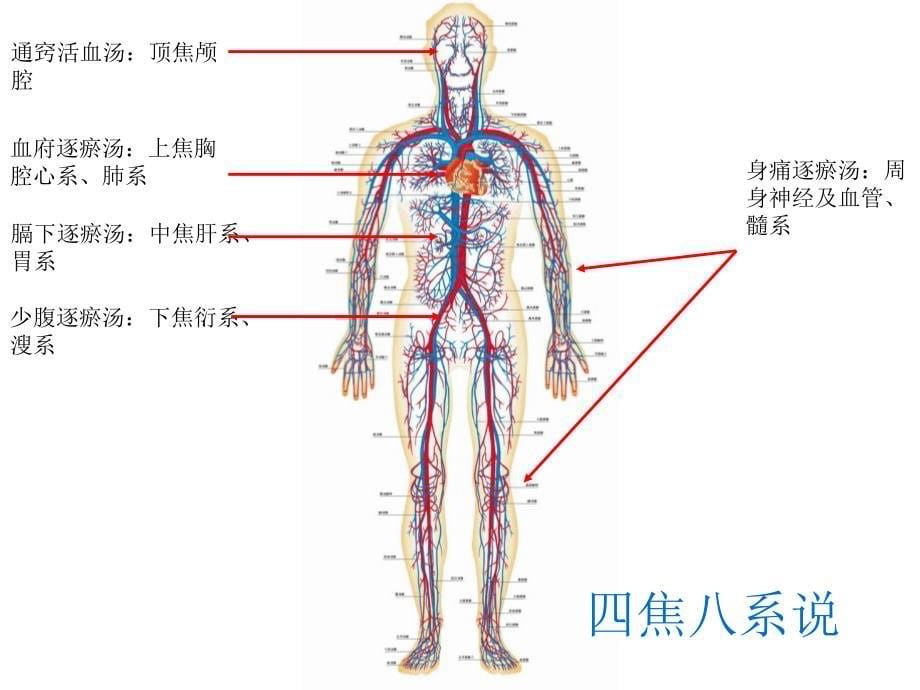 血府逐瘀汤729医学课件_第5页