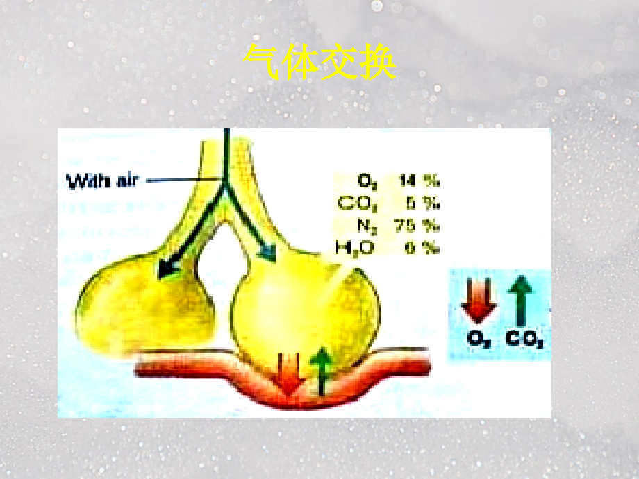 呼吸衰竭ppt医学课件_第4页