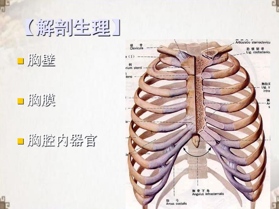 胸部损伤病人的护理ppt医学课件_第3页