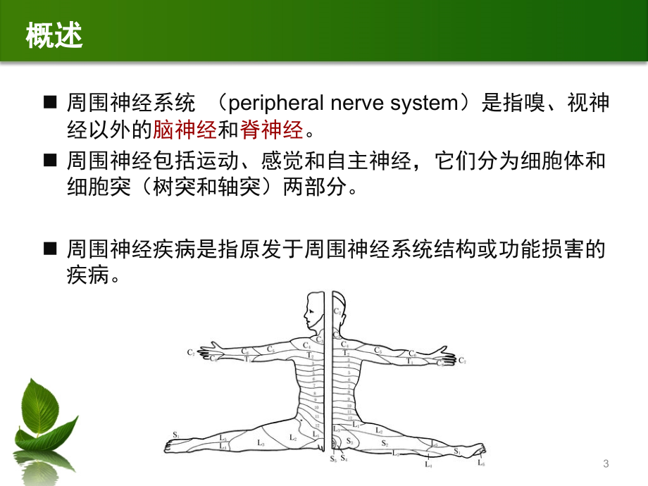 周围神经病PPT课件_第3页