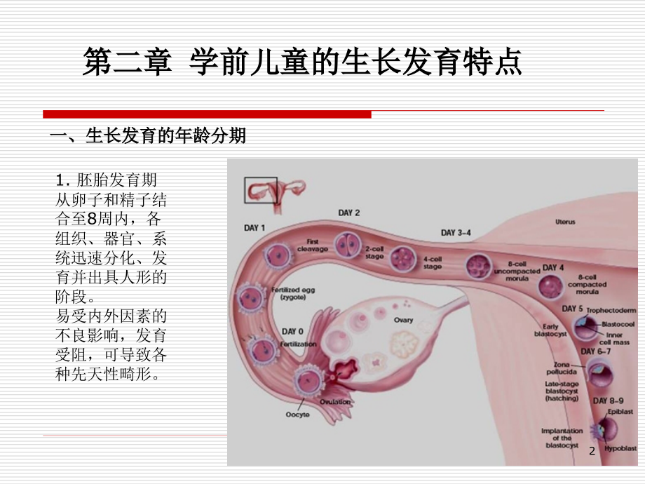 学前儿童的生长发育特点ppt医学课件_第2页