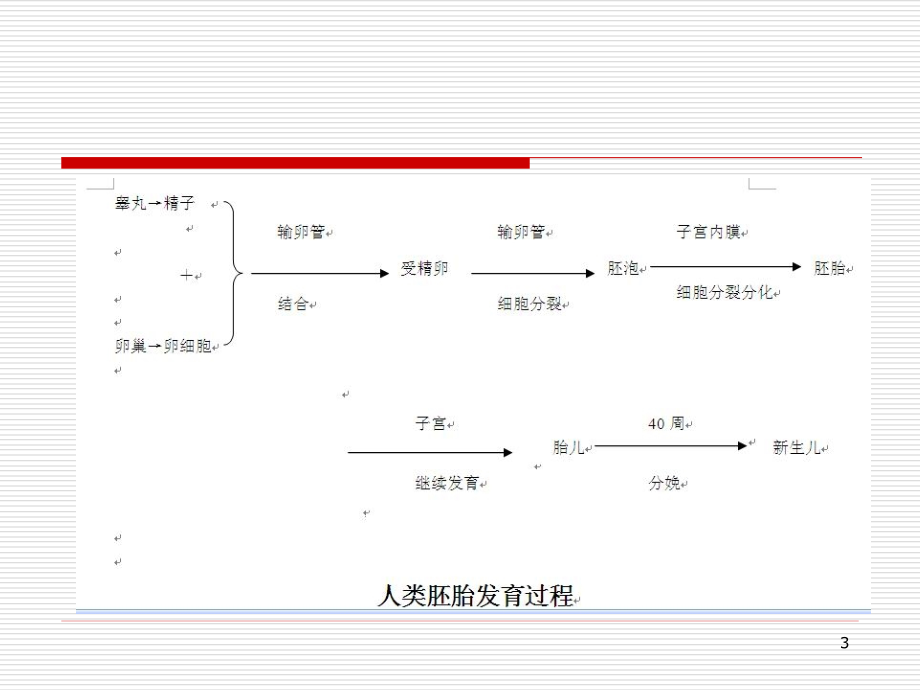 学前儿童的生长发育特点ppt医学课件_第3页