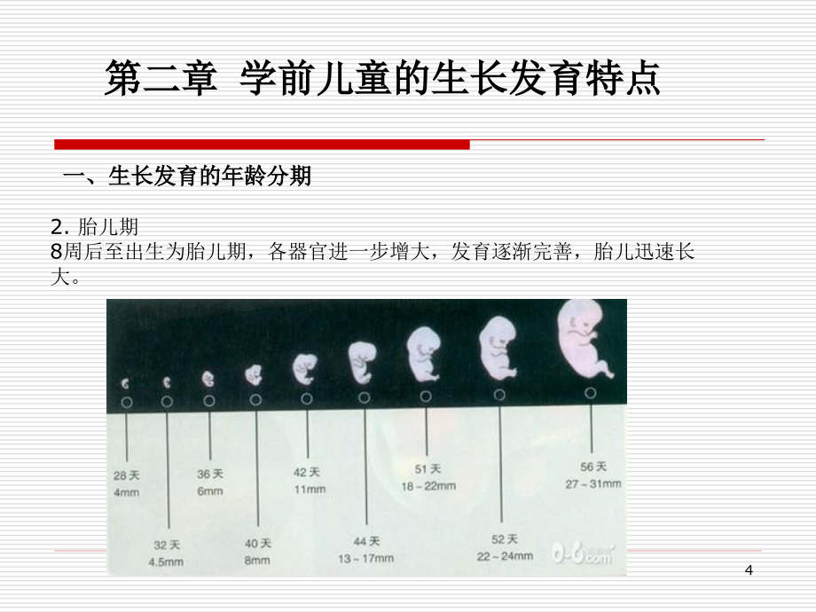 学前儿童的生长发育特点ppt医学课件_第4页