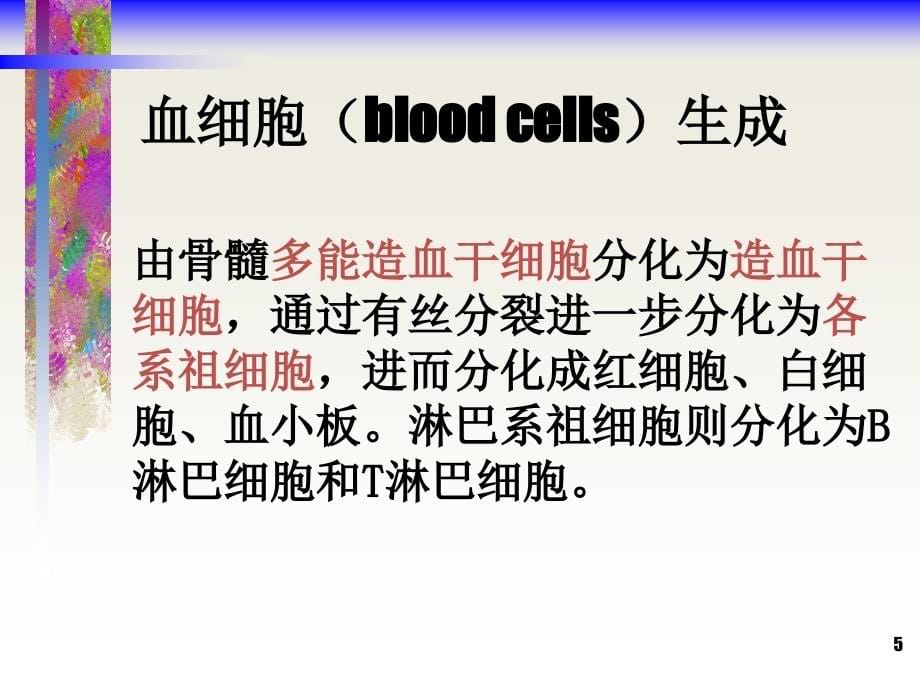 血液系统疾病病人的护理概述ppt医学课件_第5页