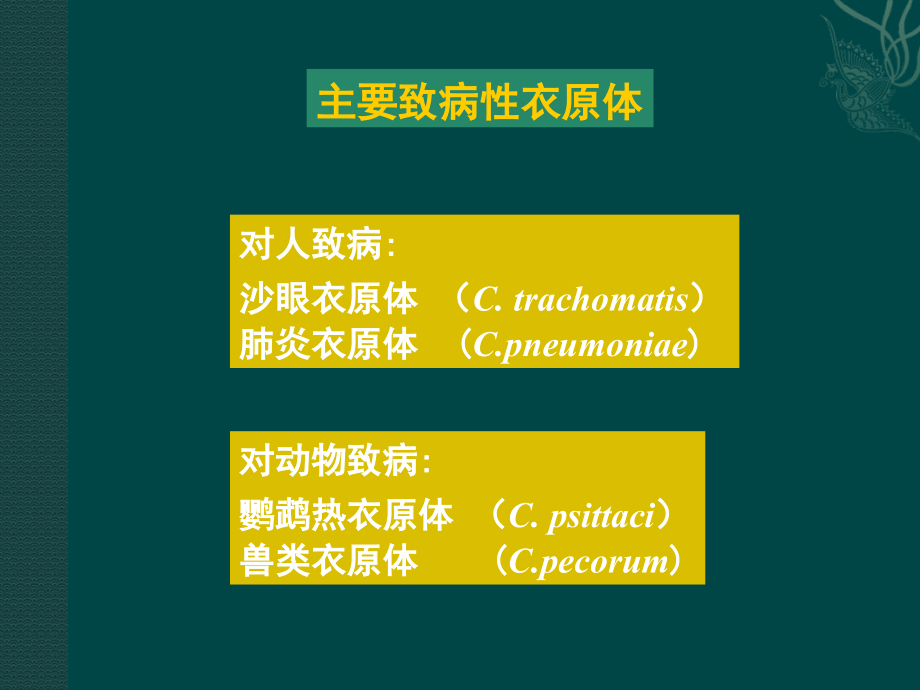 医学微生物学衣原体螺旋体医学ppt医学课件_第3页