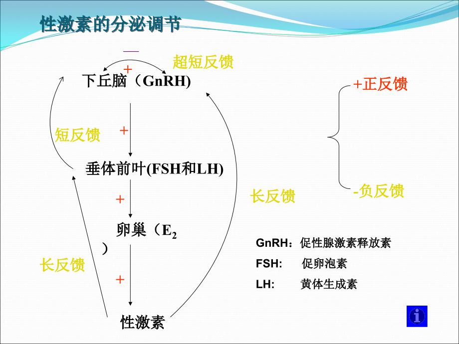 雌孕激素ppt医学课件_第2页