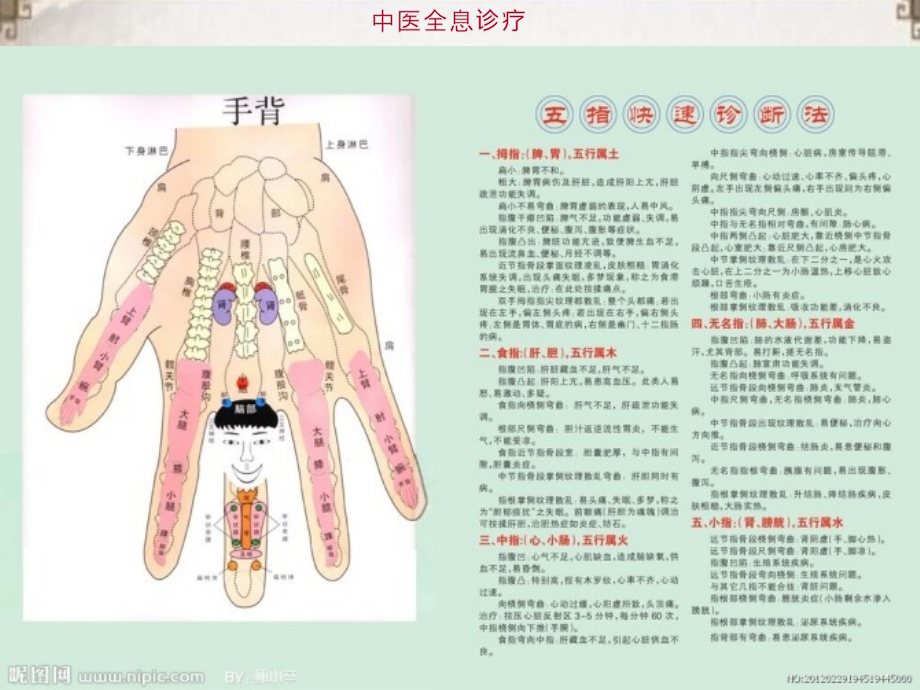 中医诊疗ppt医学课件_第3页