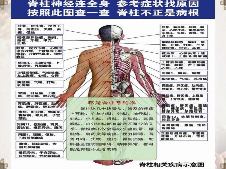 中医诊疗ppt医学课件_第5页