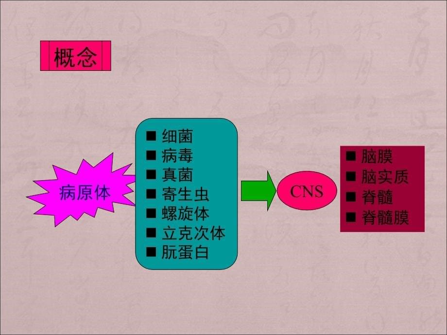 中枢神经系统感染ppt医学课件_第5页