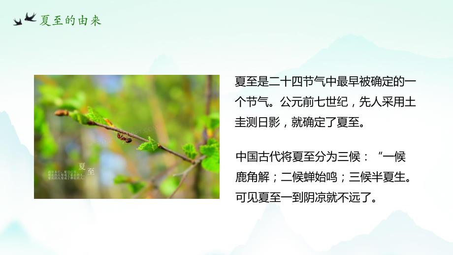 清新中国传统二十四节气夏至动态PPT模板_第4页
