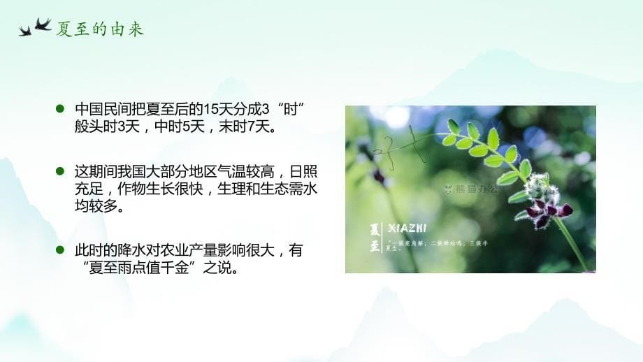 清新中国传统二十四节气夏至动态PPT模板_第5页