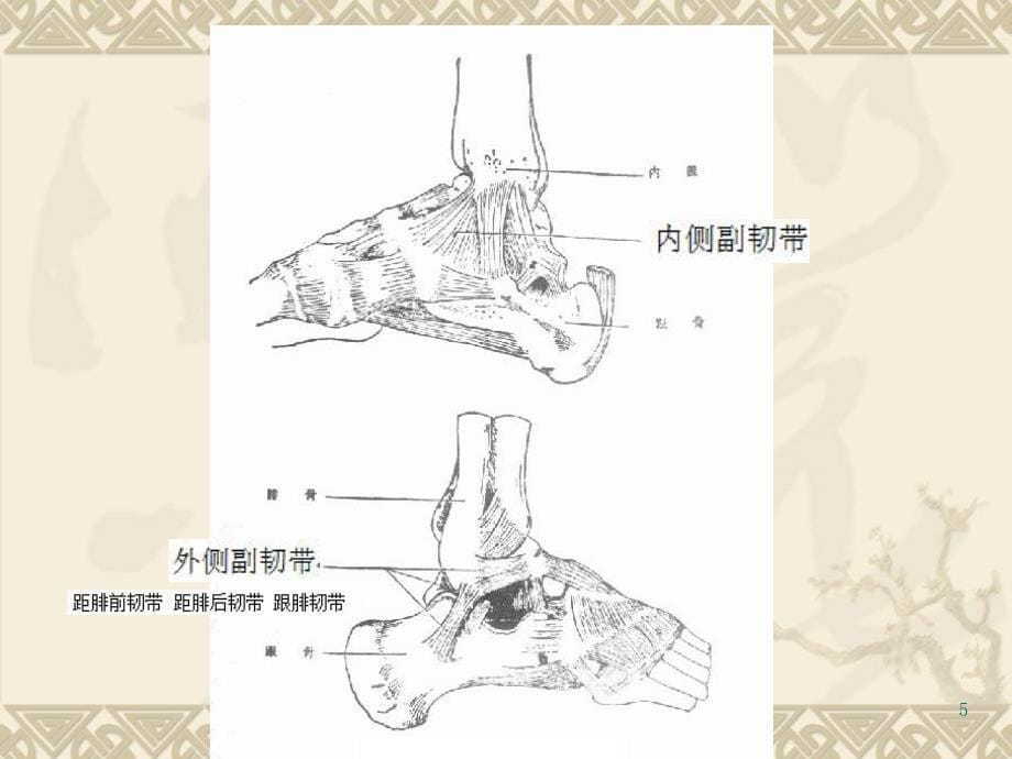 三踝骨折参考PPT_第5页