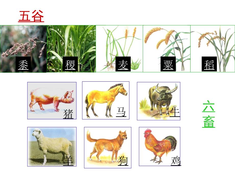 古代中国的农业经济[人民版][课件15781_第4页