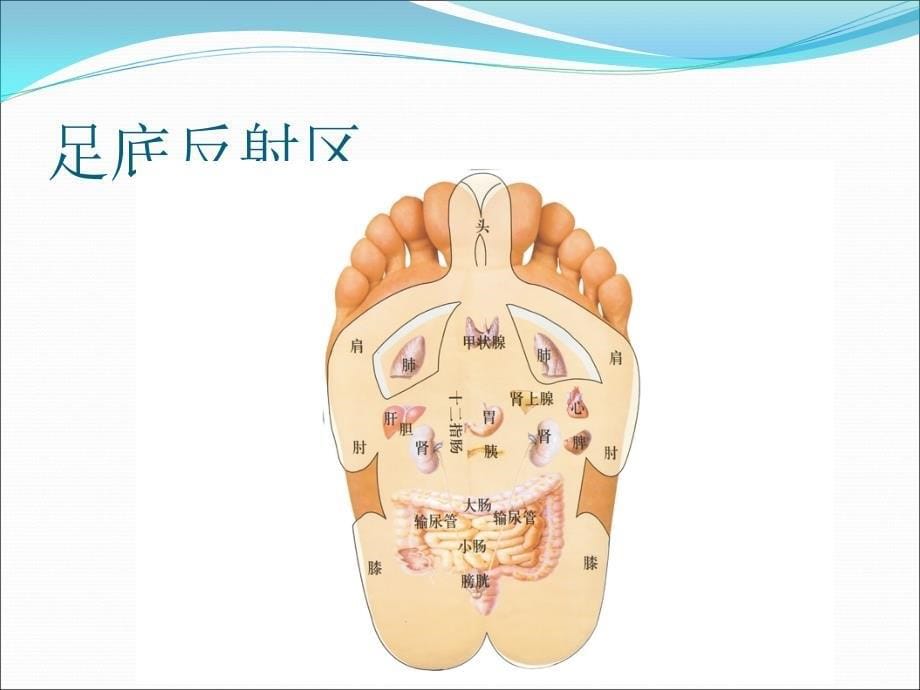 远离亚健康知识座ppt医学课件_第5页