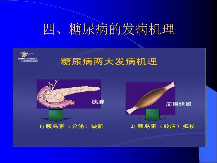 糖尿病健康教育PPT课件_第5页