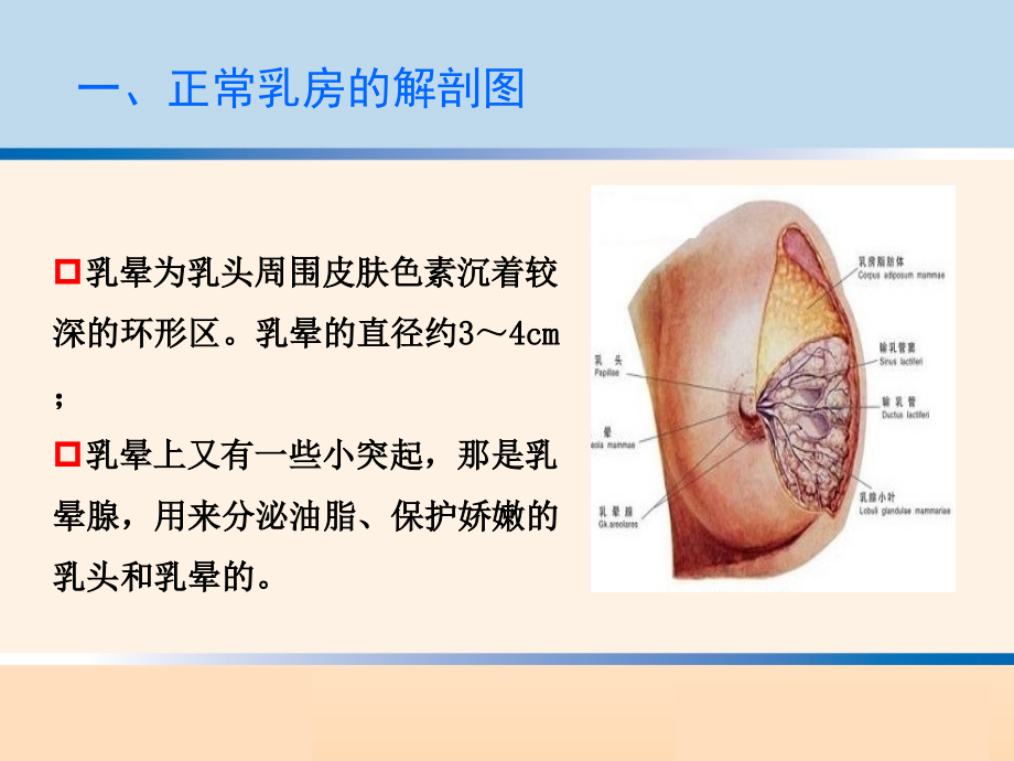 乳房问题的干预与治疗 ppt医学课件_第4页