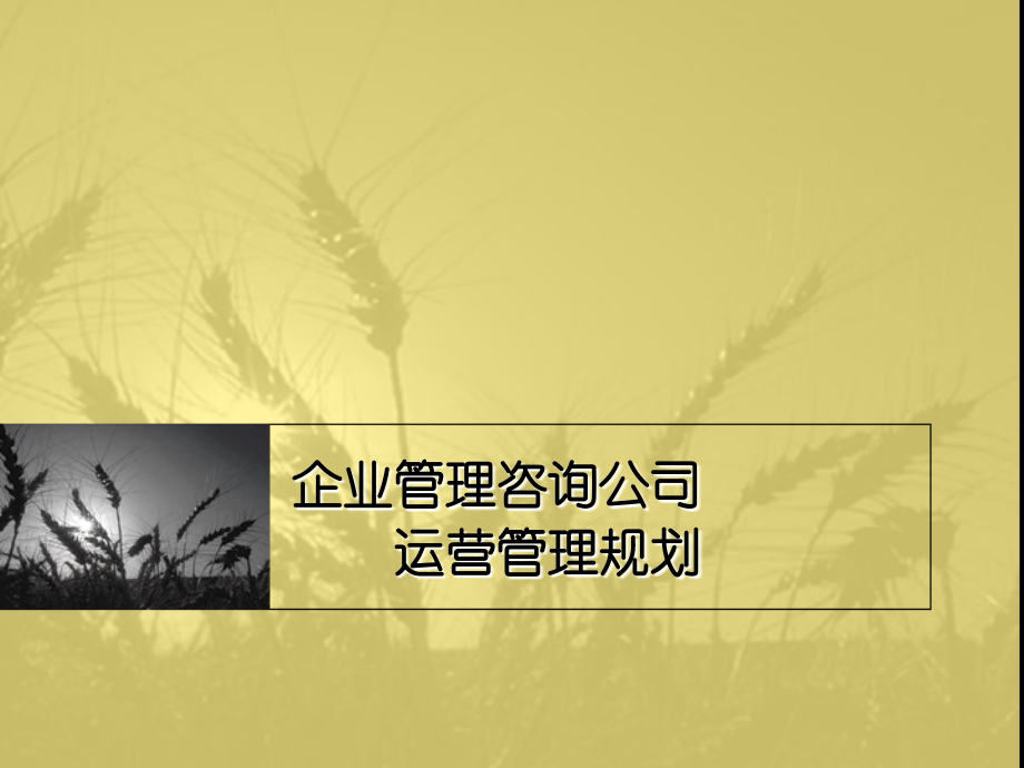 企业管理咨询公司运营管理规划学习资料_第1页