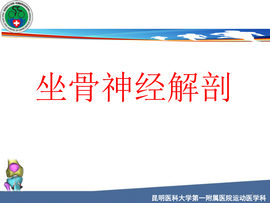 坐骨神经解剖参考PPT_第1页