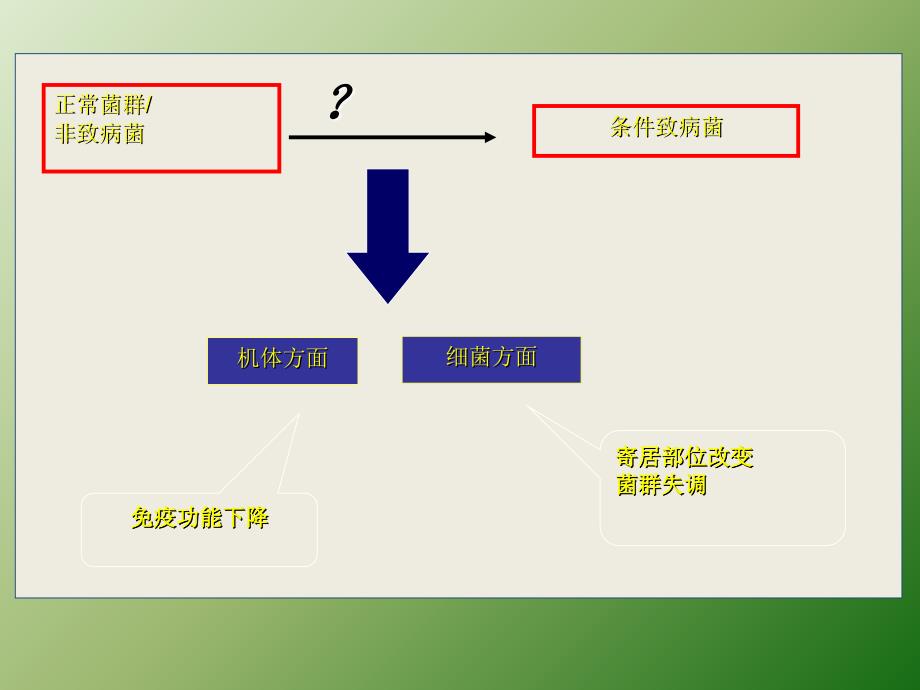 细菌学总论ppt医学课件_第4页