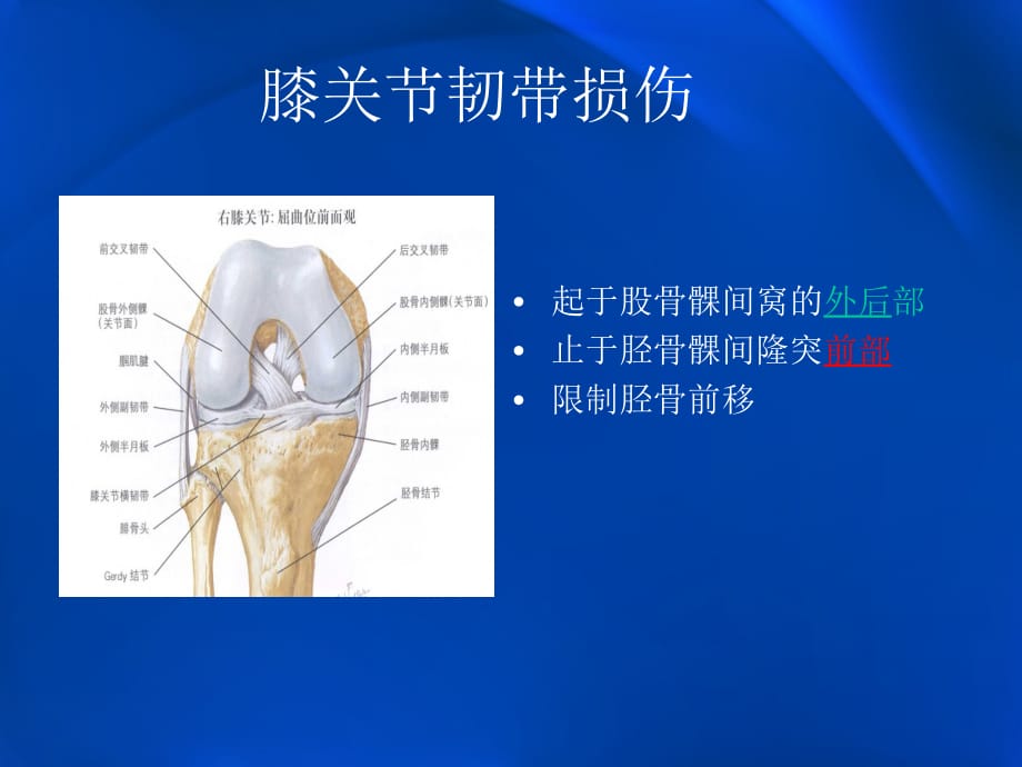 膝关节韧带损伤参考PPT_第4页