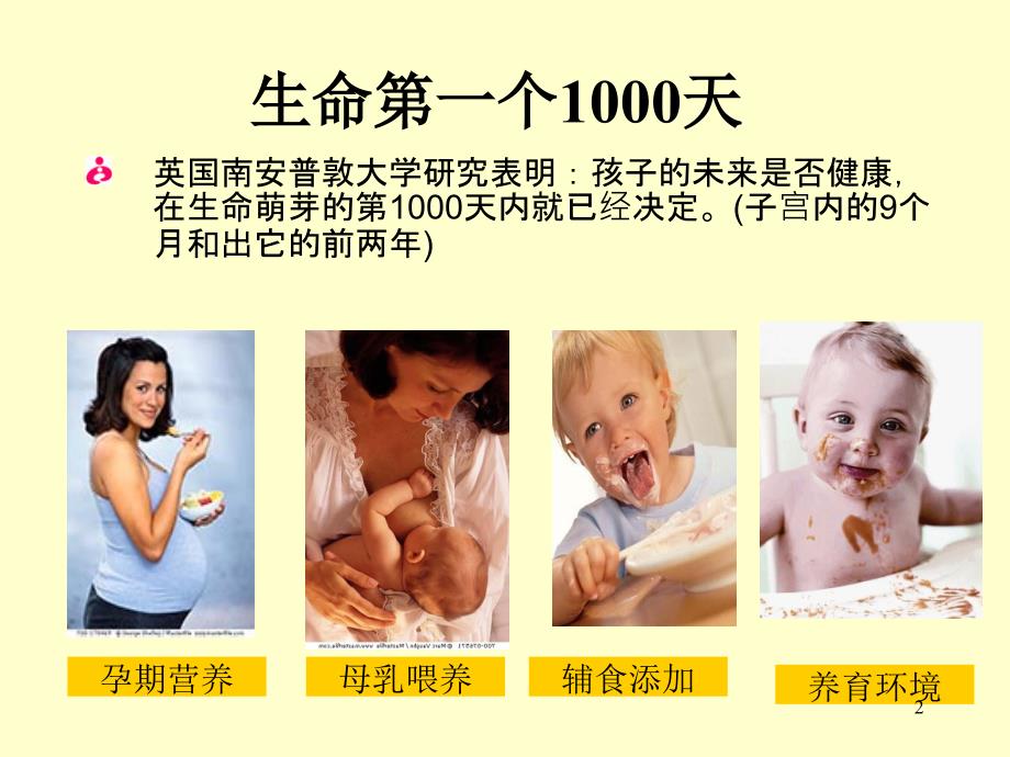 婴幼儿大脑发育的奥秘ppt医学课件_第2页