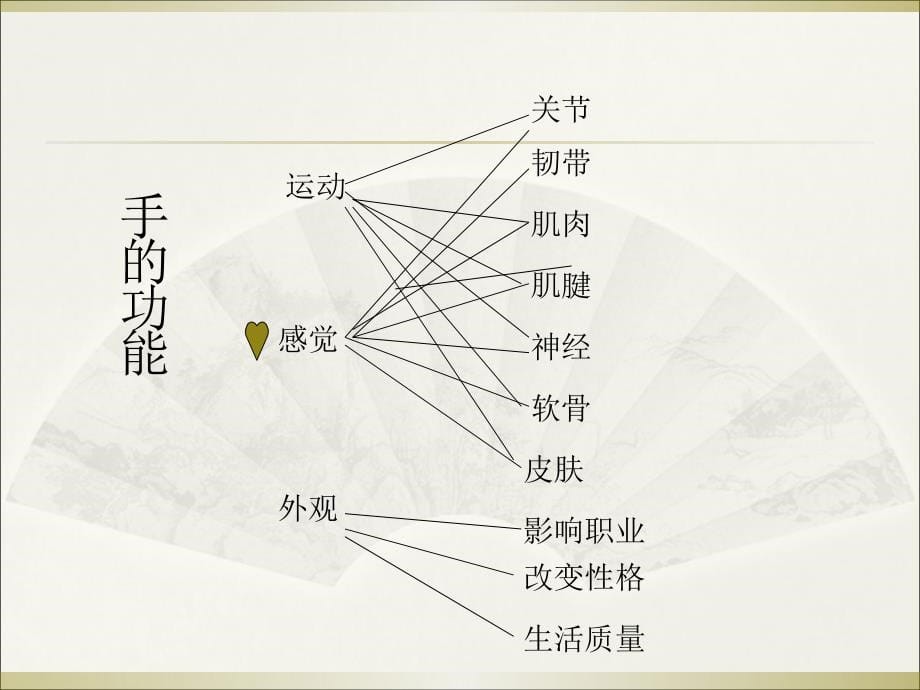 手外伤处理参考PPT_第5页