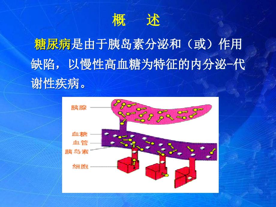 糖尿病及并发症的护理ppt医学课件_第2页