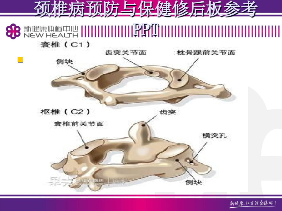 颈椎病预防与保健修后板参考PPT_第4页