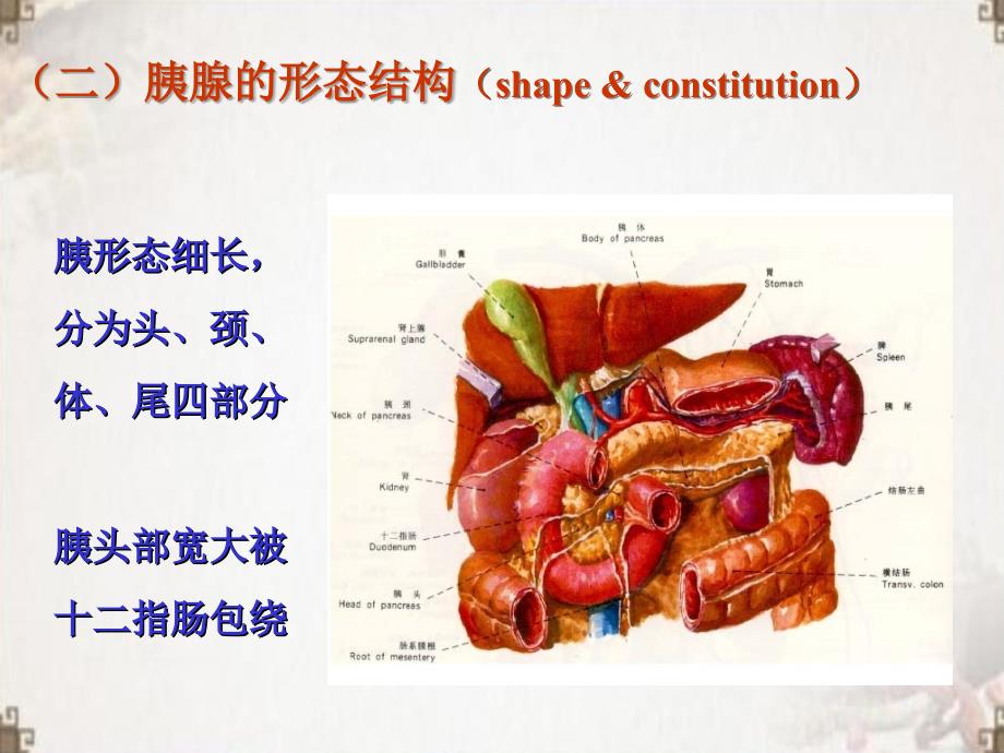 胰腺炎病人的护理ppt医学课件_第3页