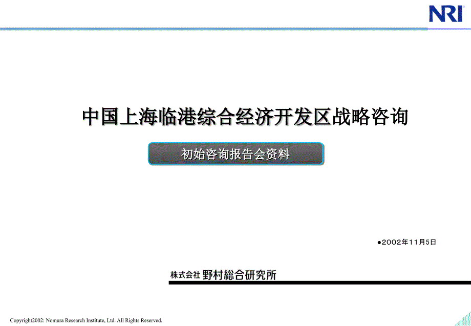 野村-上海临港综合经济开发区战略咨询_第1页