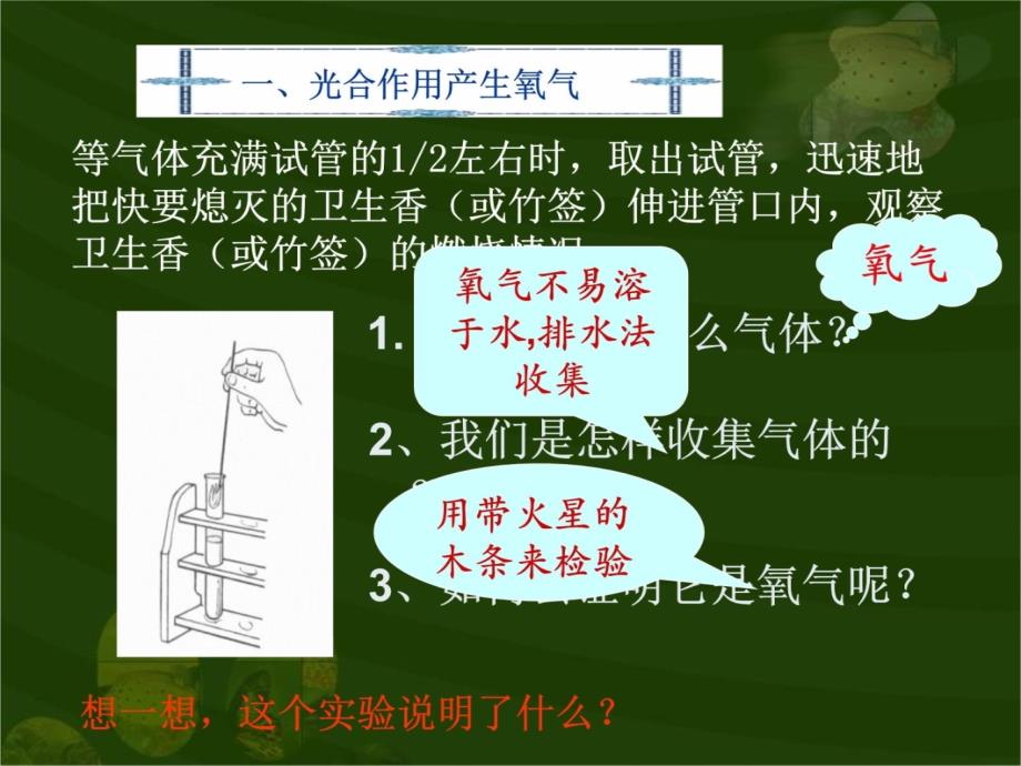 绿色植物与生物圈的碳——氧平衡教案资料_第3页