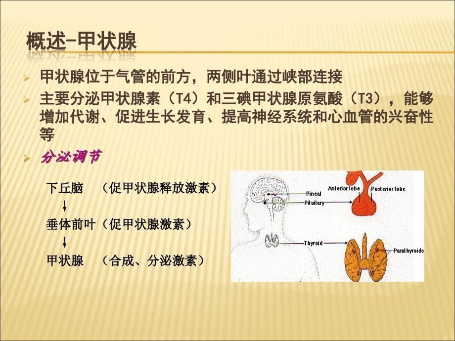 妊娠与甲状腺疾病新ppt医学课件_第5页